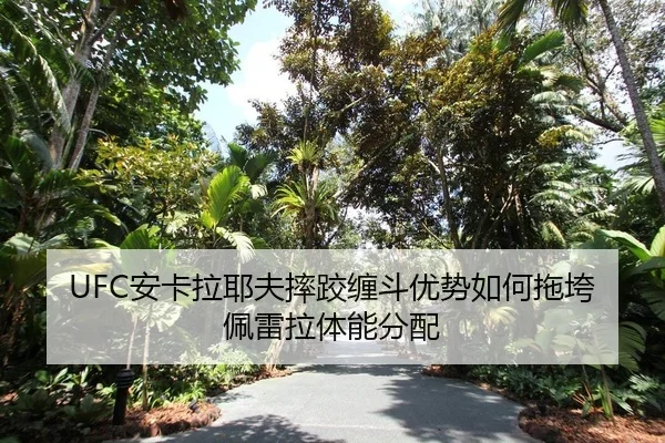 an-ka-la-ye-fu-shuai-jiao-chan-dou-you-shi-ru-he-tuo-kua-pei-lei-la-ti-neng-fen-pei-2-576.jpg